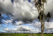 pg模拟器官网:【在现场】伊万:单论本场王钰栋特点更鲜明 技战术始终坚持进攻性.