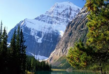 创造历史!中国队首夺钢架雪车世界杯混合团体冠军央视体育.