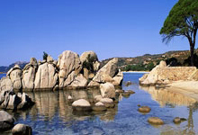 体育频道-中国新闻网.